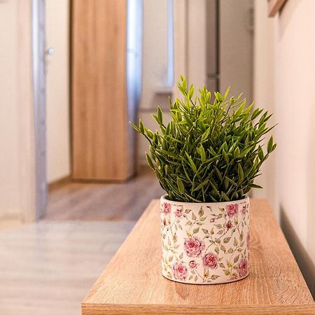 Dream Aparts - 10 Lutego Lodz  Ngoại thất bức ảnh